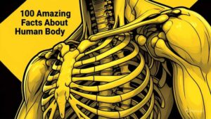 top 100 amazing facts about human body in hindi